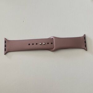 Apple wristband metallic
